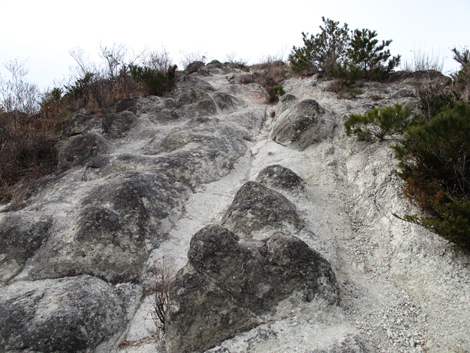 20140125hike (286)